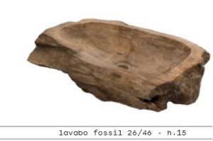 Fossil 26x46 cm - hl. 15 cm
