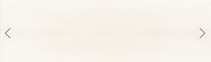 PORCELLANA SHINY White 20 x 60cm