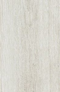 TR3ND  White   Wood  20x120cm  Nat. Rett.