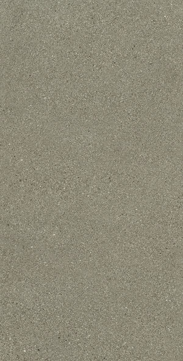 GRAIN STONE  Taupe Fine   Grain  60x120cm Nat.  Rett. 9,5mm