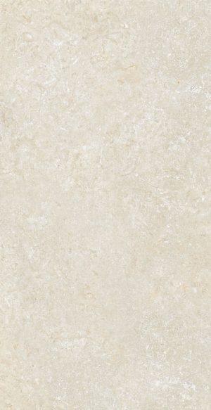 SECRET STONE  PR( )TECT Mystery White   60x120cm Nat. Rett. hr. 14mm