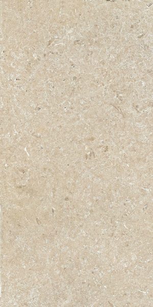 SECRET STONE  PR( )TECT Precious Beige   60x120cm Nat. Rett. hr. 14mm