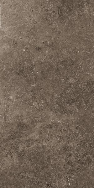 SECRET STONE  PR( )TECT Rare Dark   60x120cm Nat. Rett. hr. 14mm