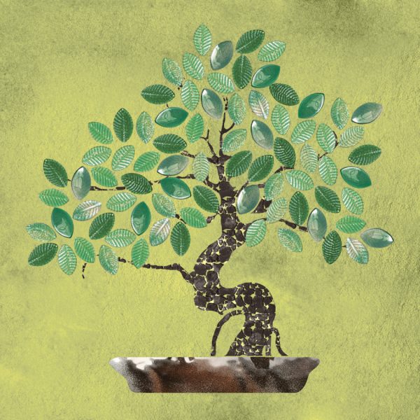 NATURAE ALBERI, Bonsai Pannello Stuccato (Mela C410) Estate A, 80x80cm