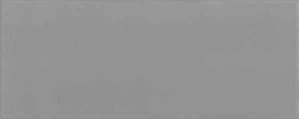 LINE UP  Grey   20x50cm Matt