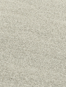 LIMESTONE  Beige   61x122,2 cm Outdoor  Rett. R11