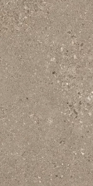 GRAIN STONE  Taupe   Tecnica  Rough Grain  60x120cm   Rett. 9,5mm