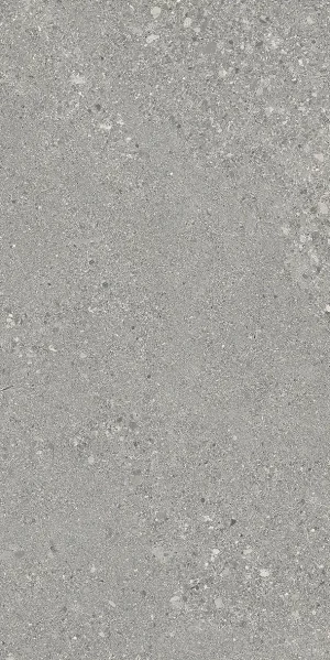 GRAIN STONE   Grey  Tecnica  Rough Grain  60x120cm   Rett. 9,5mm