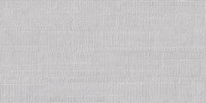 PIGMENTO  Grigio Cenere  Cardboard Silktech 60x120cm  Rett. 9,5mm