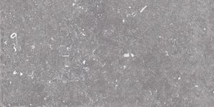 UNIQUE BLEU   Gris  Noble  40x80cm Nat. Rett.  9,5mm