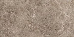 LANDSTONE  Earth  30x60cm Rett. 9mm