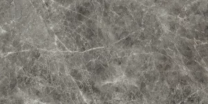 IMPERIAL MICHELANGELO Grigio Visone   30x60cm Levigato Rett.